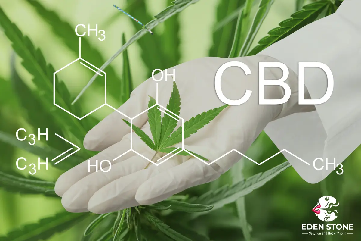 Le CBD en libre-service : tout ce qu’il faut savoir pour vos clients